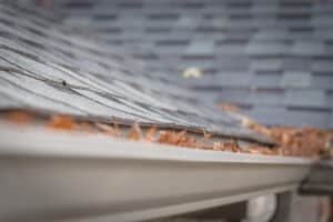 Shallow DOF clogged gutter near roof shingles of residential house full of dried leaves