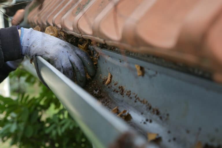 Cleaning the gutter from autumn leaves before winter season. Roof gutter cleaning process.